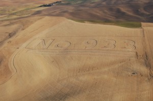 NO 933 Crop Circle