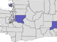 1999: Initiative 695 | Overview and Impact