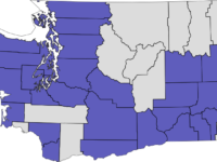 2000: Initiative 745 | Overview