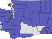2006: Initiative 920 | Overview