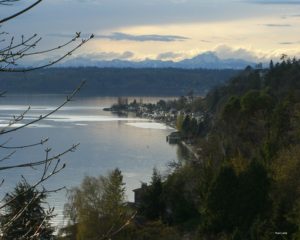 Three Tree Point in Burien