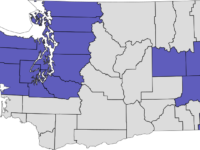 2006: Initiative 933 | Overview