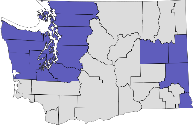 Initiative 920 County-by-County Results